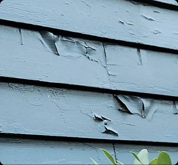 Peeling Paint