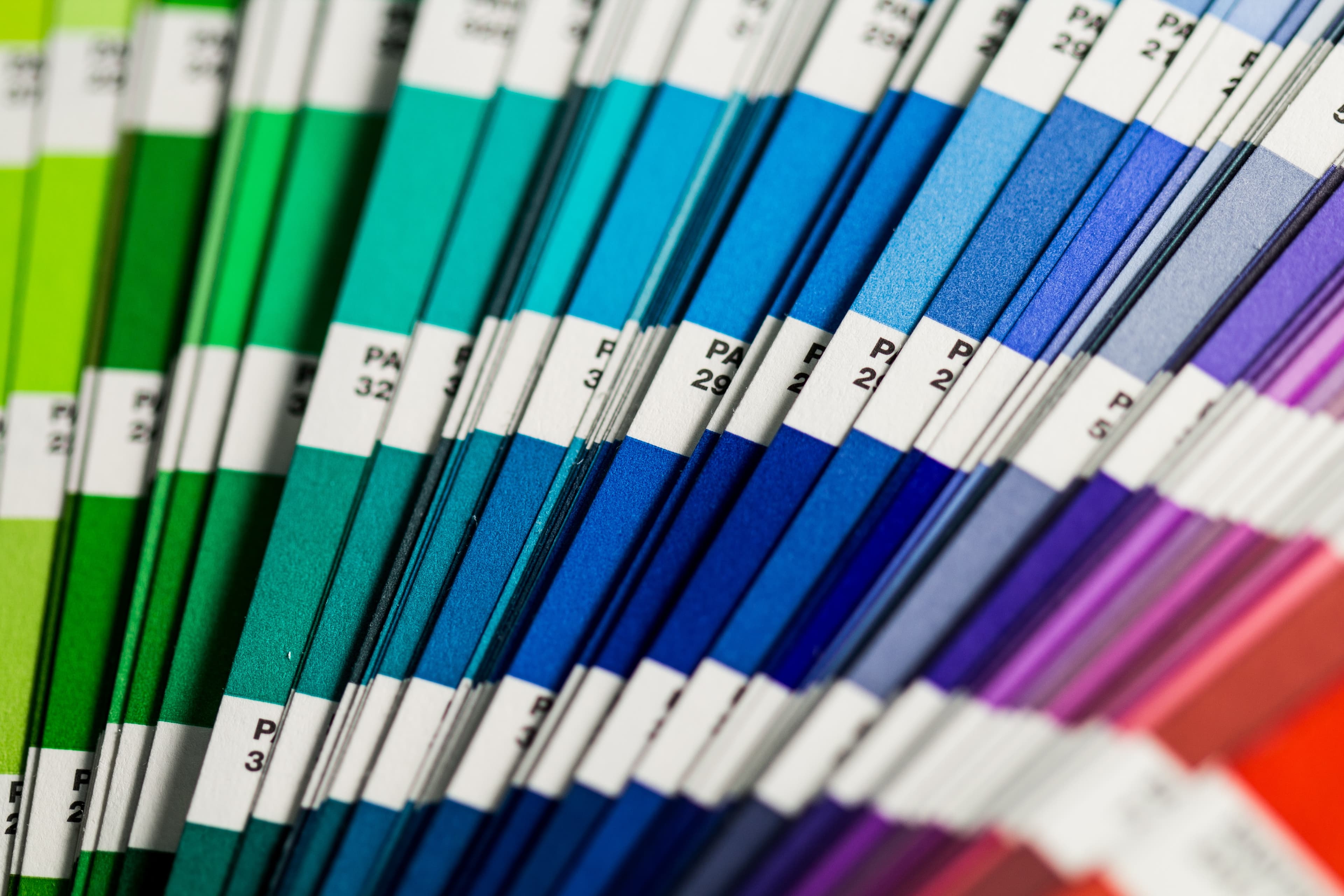 Variety of paint colors as swatches.