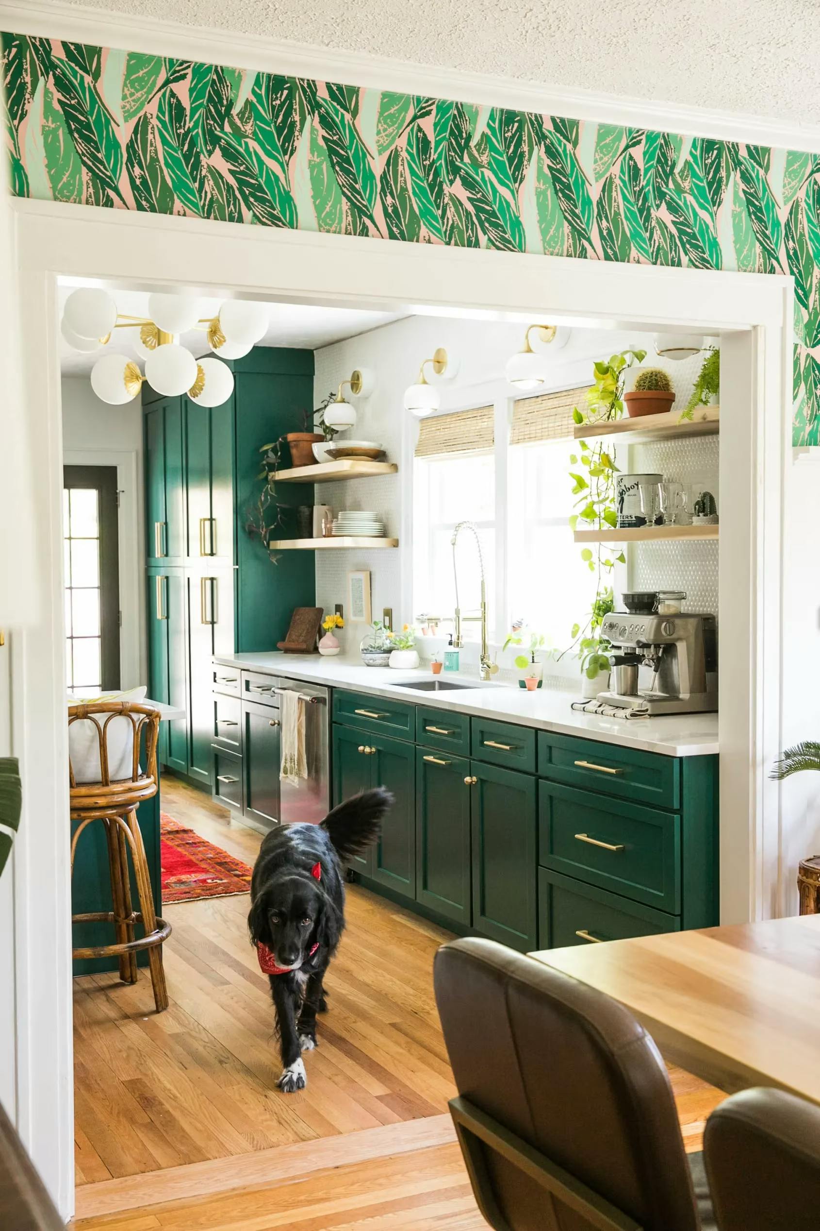 Forest Green by Benjamin Moore, featured in Apartment Therapy, photo by Jessica Brigham