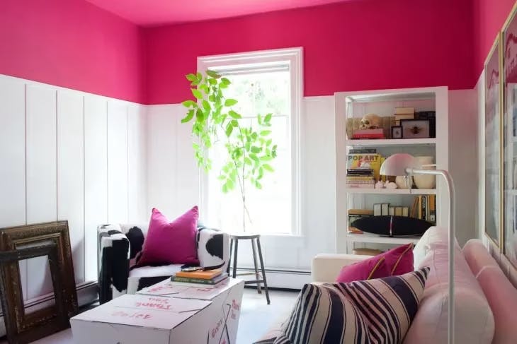 Peony by Benjamin Moore, featured in Apartment Therapy, Photo by Chris Stout-Hazard